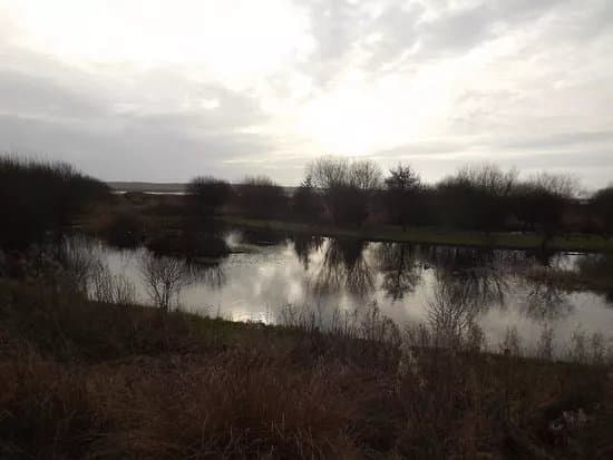 Marsh Water Ponds