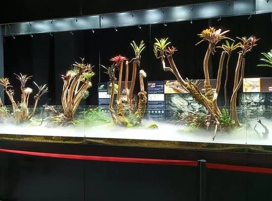 Reptiland Bucuresti
