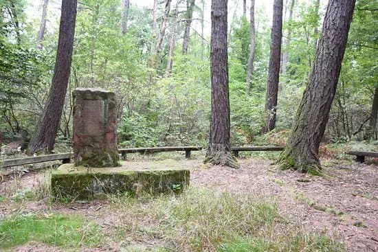 Rezerwat Chelmowa Gora