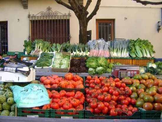 Saturday Market La Garriga