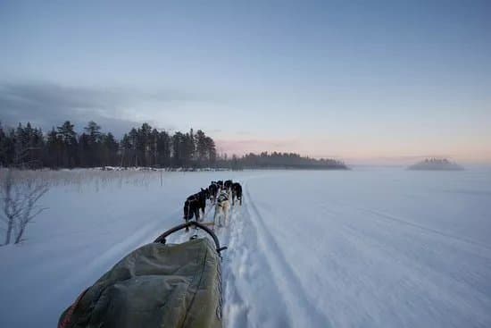 Wild Lapland