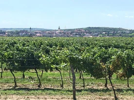 Weingut Kellner
