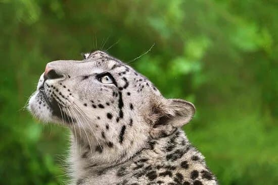 Banham Zoo