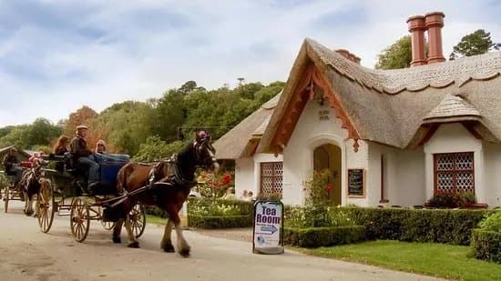 Killarney Jaunting Cars Tangney Tours