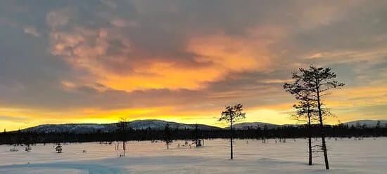 Uniq Lapland