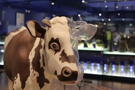 La Cite du Lait