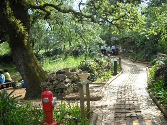 Ecoparque Sensorial da Pia do Urso
