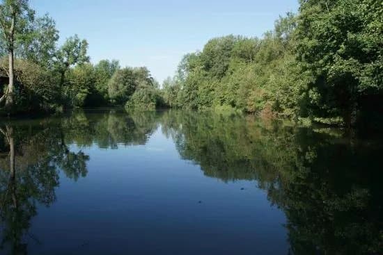 Stiftsteiche Anglerparadies St. Florian