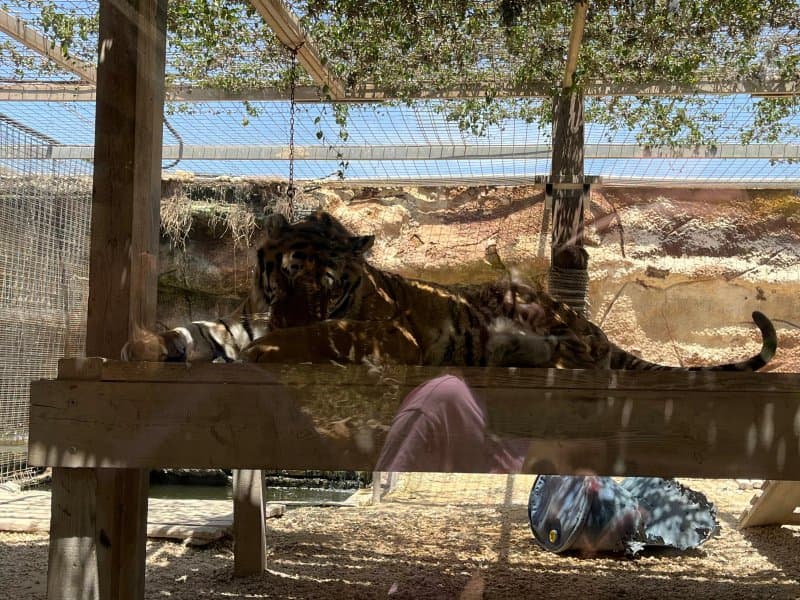 Wildlife Park Malta