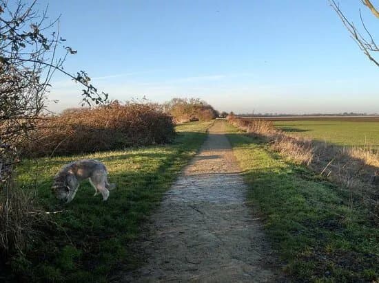 Rings End Nature Reserve