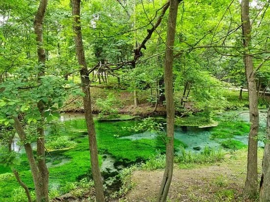 Magic Izvor
