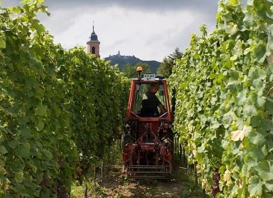 Domaine Claude et Christophe Bleger