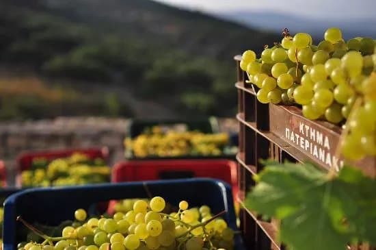 Domaine Paterianakis