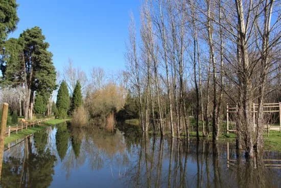 Parque Da Cidade