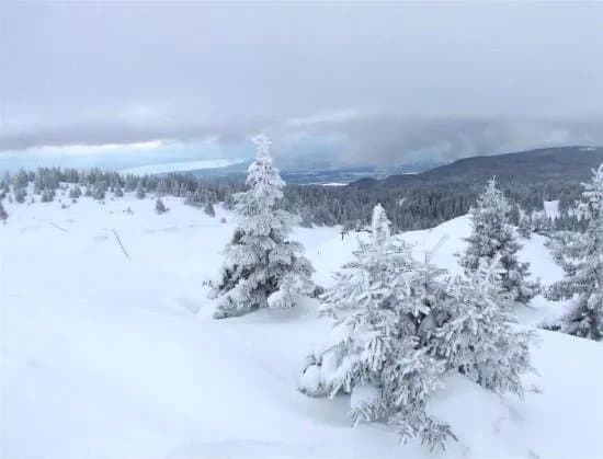 Parc Jura vaudois