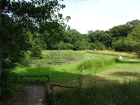 Thijsse's Hof Heemtuin