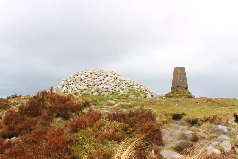 Ticknock Forest, Dublin