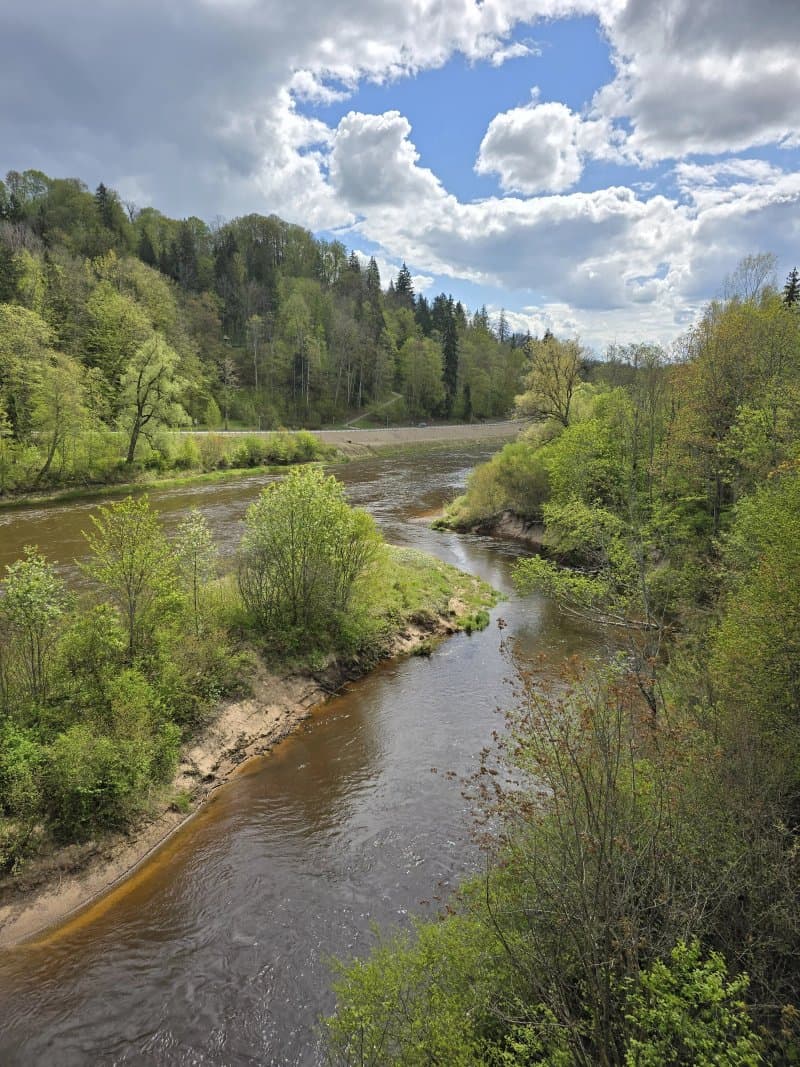 Pedestrian Bridge Across Gauja River