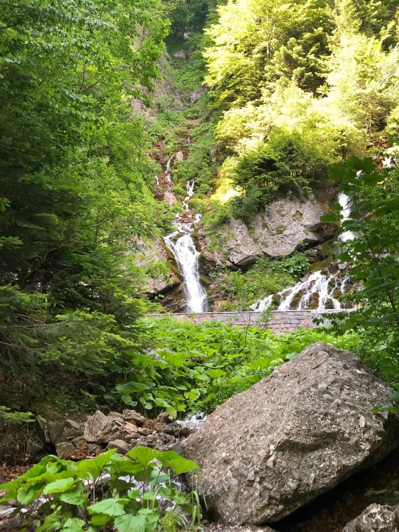 Cascada Spumoasa