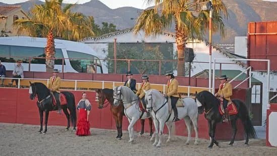 El Cartujano