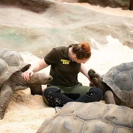 Krokodille Zoo