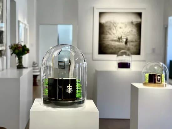 Continuum Gallery, expressive glass & contemporary art