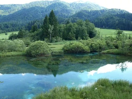 Zelenci Nature Reserve