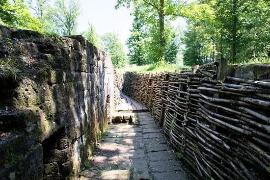Bayernwald