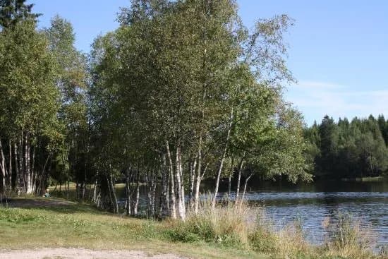 Ovresetertjern Lake