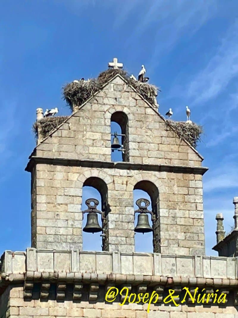 Iglesia Parroquial De San Pedro