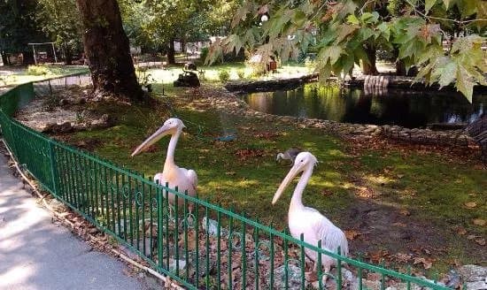 Zoopark