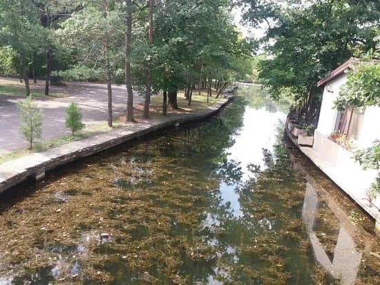 Parcul Crang