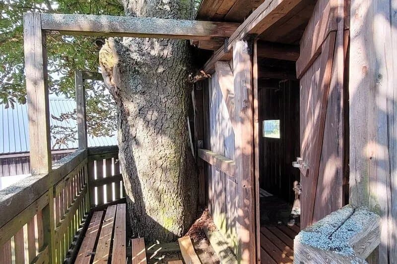 Quietly located, modern vacation apartment in the countryside - optional with