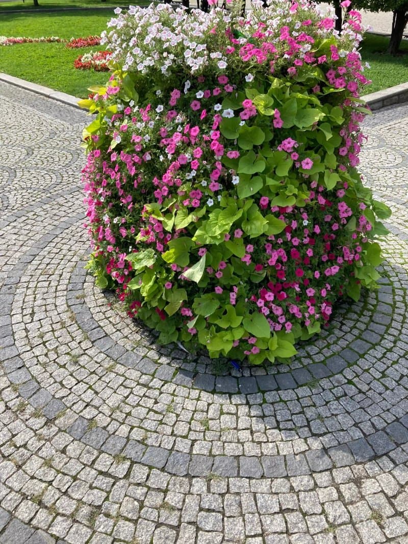 Park Platz Des Aufstands In Grosspolen