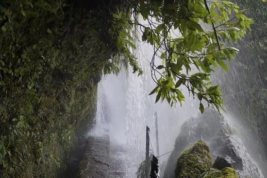 Parque Florestal das Queimadas