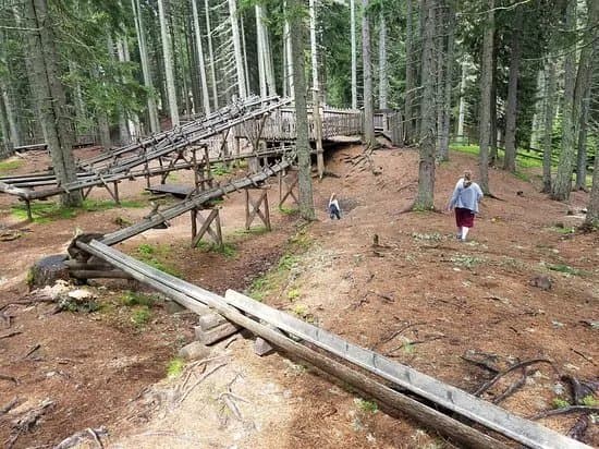 Kugelwald