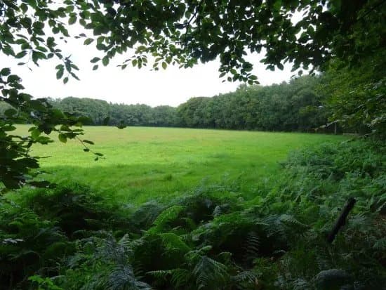 Lonnekerberg
