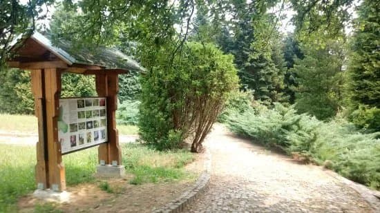 Arboretum Lisicine