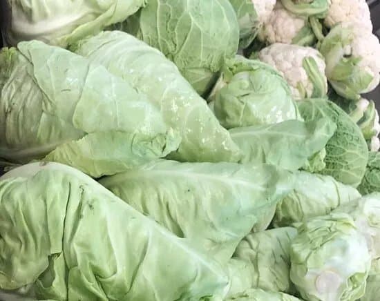 Mercato Contadino Riva del Garda