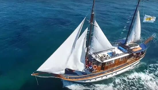 Venus Sea Cruises