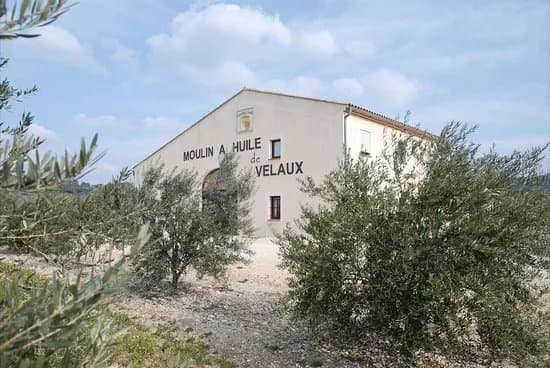 Boutique Moulin Huile de Velaux Cooperative Oleicole de Velaux