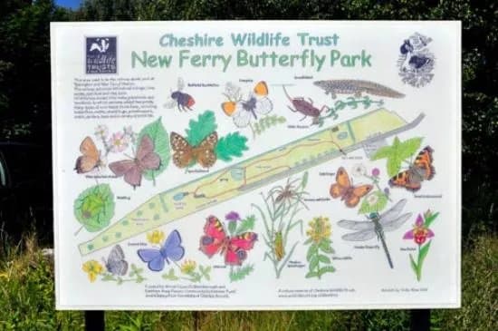 Butterfly Park