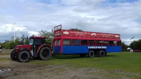 Mandobussen