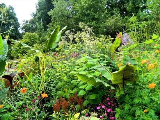 Hunting Brook Gardens