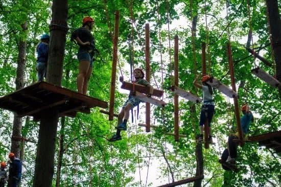Rope park Wiewiora