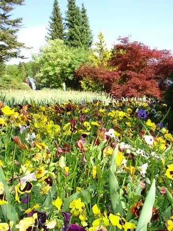 Botanischer Garten