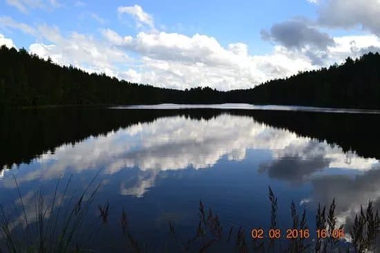 Viitna Nature Trail