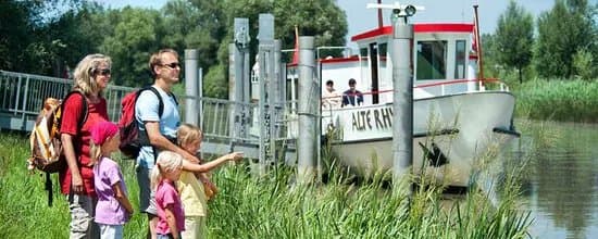 Witzweg