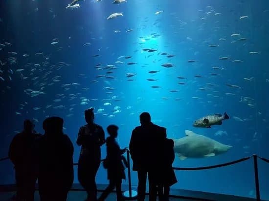 Ozeaneum
