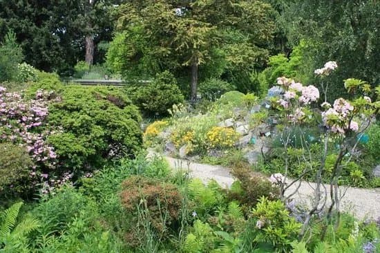 Alpengarten